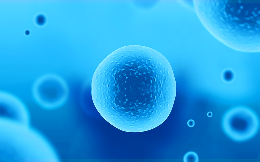 穩定細胞株構建