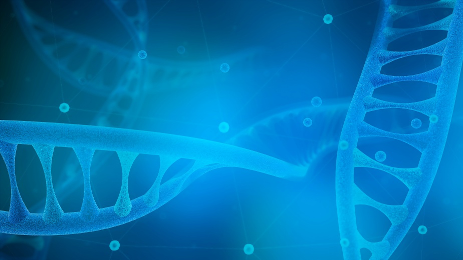 Kinase靶點模型構建