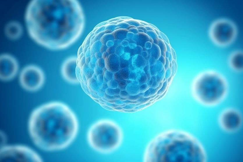 免疫治療靶點模型構建